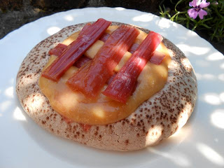 Rhubarb Chocolate Pavlova