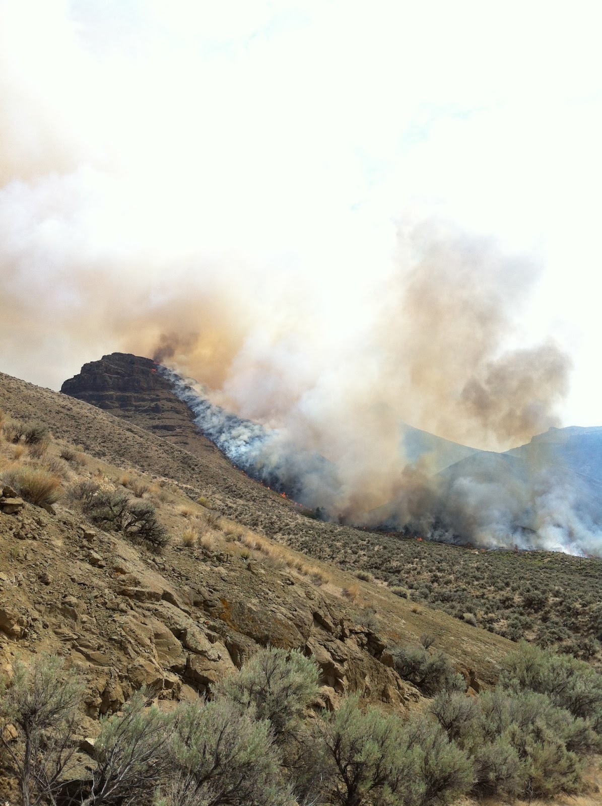 Owyhee Fire Fire Photos and Videos