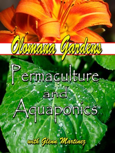 Olomana Gardens: Permaculture & Aquaponics