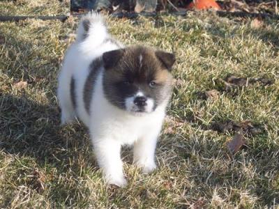 Daily diary for everyone - 6