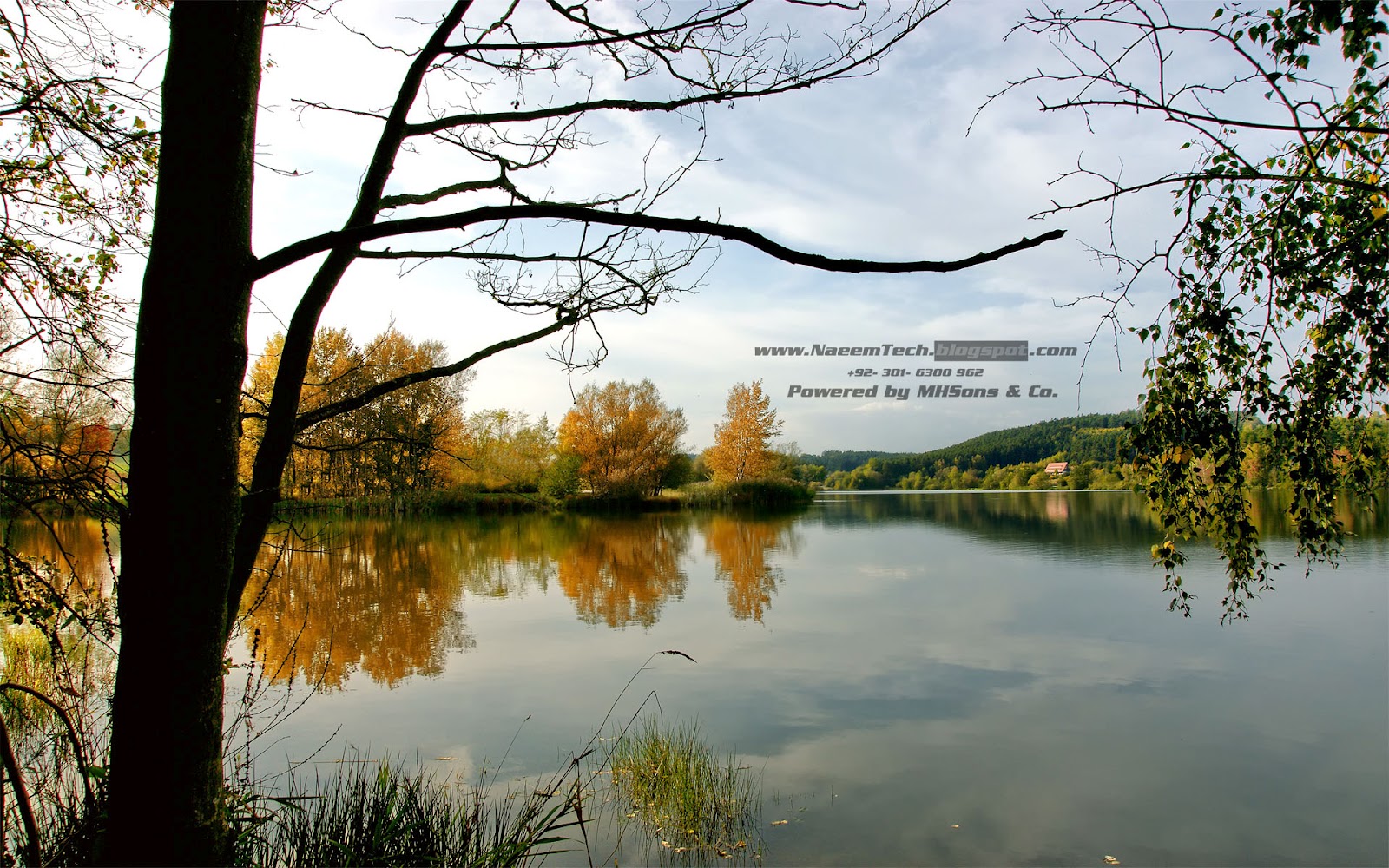 HD Widescreen Wallpaper Pack 2013 (2650x1600) Download for Free - Free