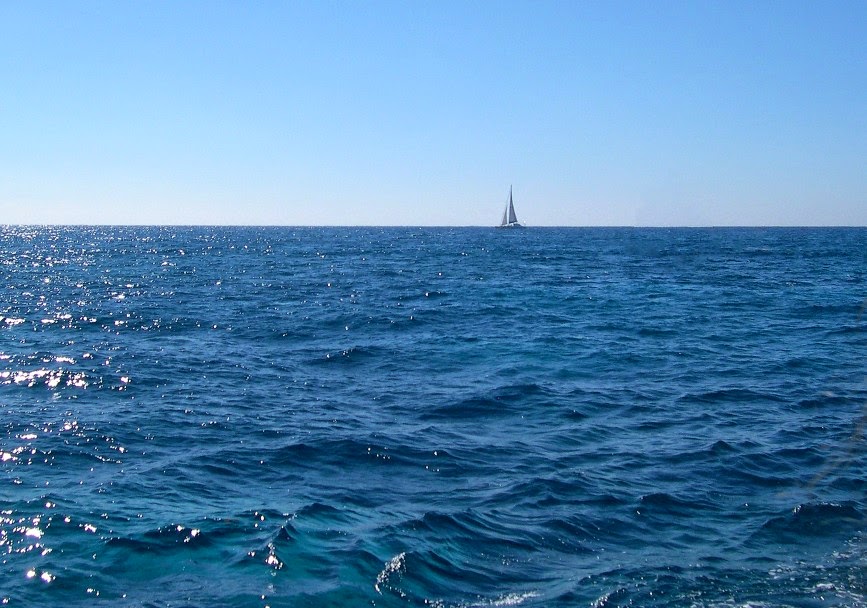 glass bottom boat tours everglades key largo glass bottom boat the lundy 5 glass bottom boat tours everglades key largo glass bottom boat the lundy 5