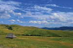 Zlatibor