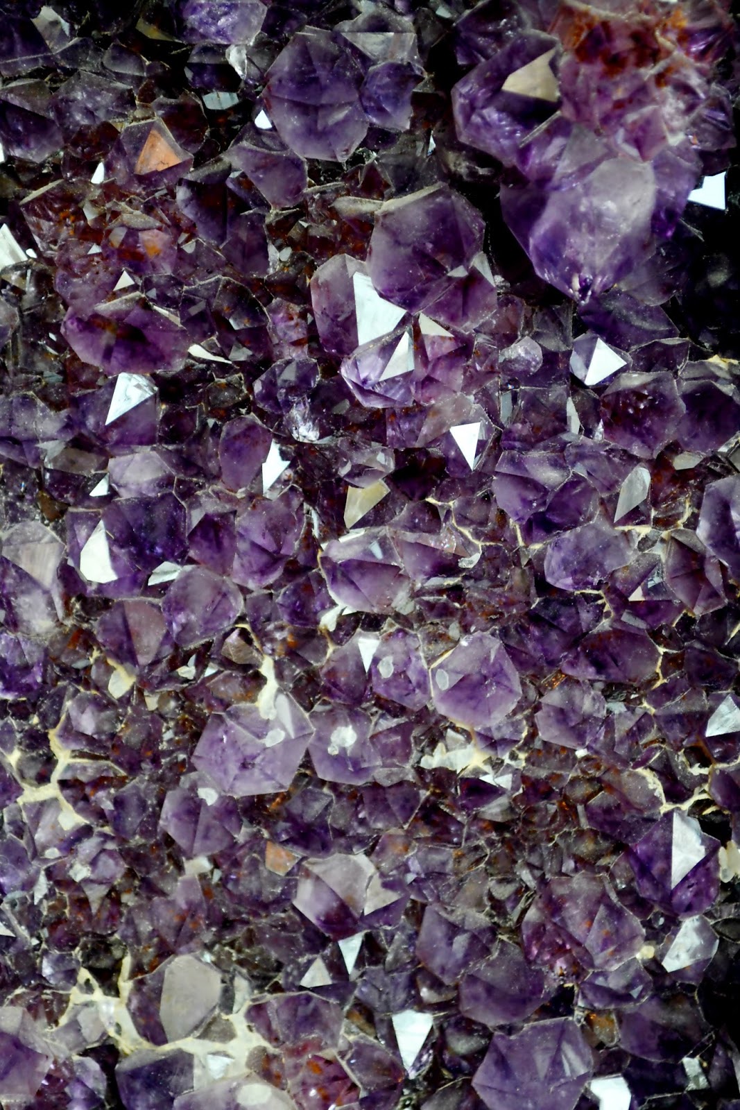 coach classic yachats