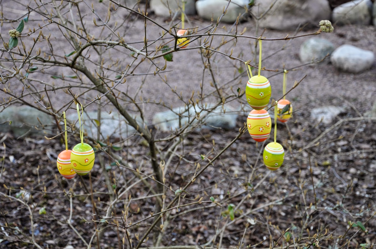 Alen trädgård: mars 2015