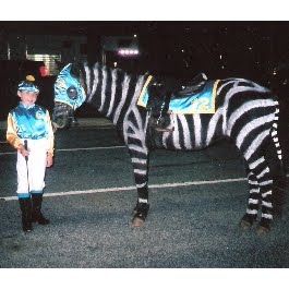 zebra horse race movie zebra horse race movie