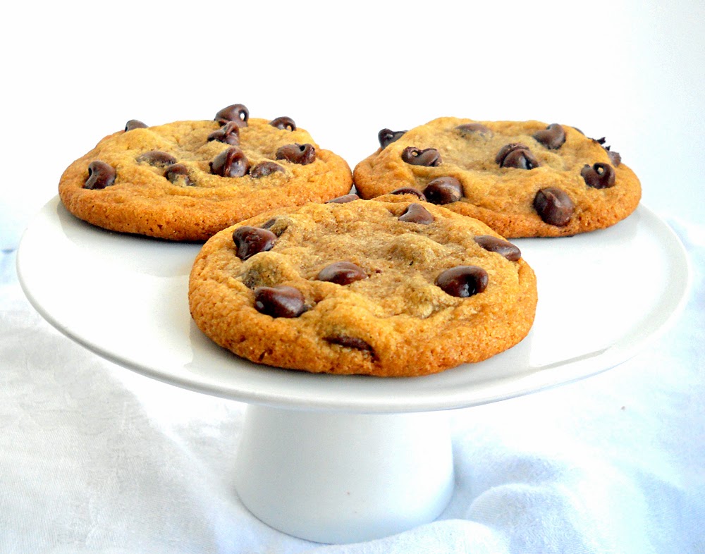 Emily's Sweet Indulgence Soft and Chewy Chocolate Chip