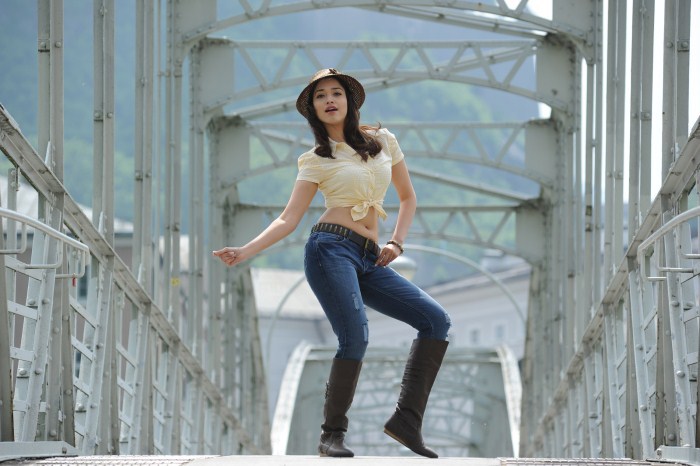Badrinath Indian-Tollywood-film-telugu-movie-Allu-Arjun-Tamanna-starring-Badrinath