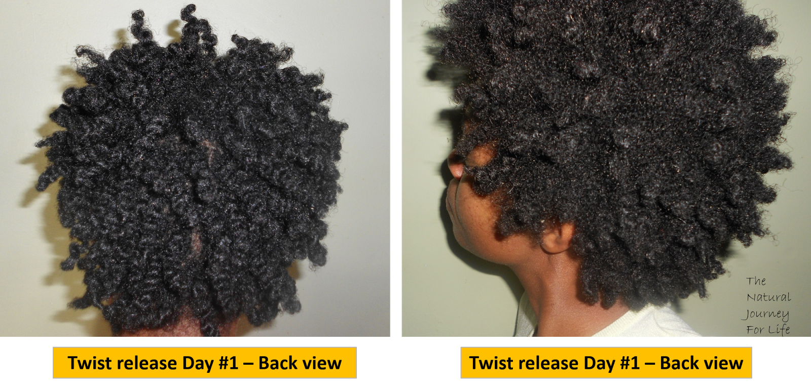 The Natural Journey For Life The Hair Journey Chunky Afro Dry