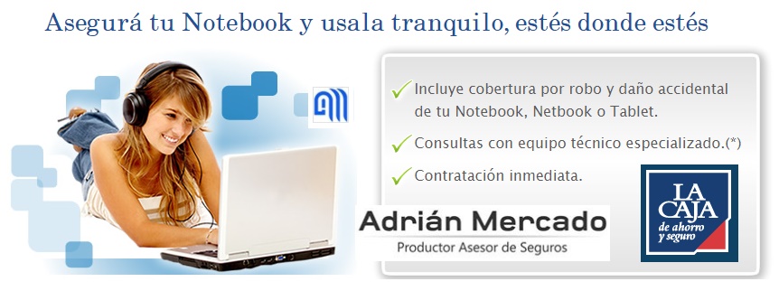 SEGURO PARA NOTEBOOK