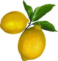 a lime