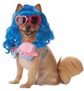 صور كلاب مضحكة Most-funny-dog-costumes+(19)