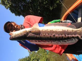 foto punya marcus w ngroho berita mancing foto punya marcus w ngroho berita mancing