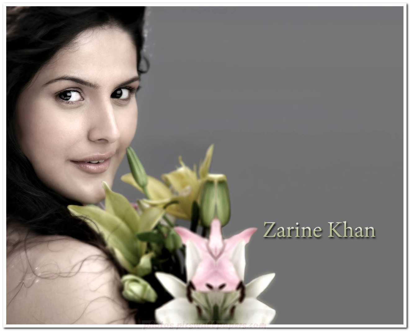 Zarine Khan Bollywood Actress Wallpapers