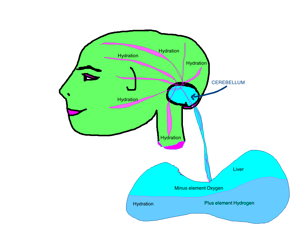 Grove Body Part Chart Liver=Oxygen(Minus element)+Hydrogen(Plus element)