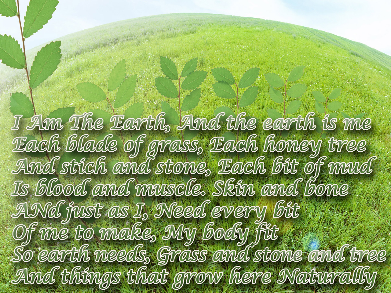 Environmental Poems To Save The World With HD Wallpapers Poetry Likers