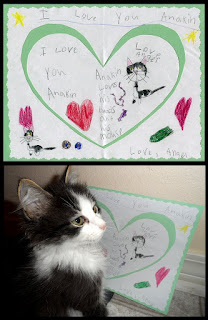 Love for Anakin the two legged cat, Anakin art by Angel