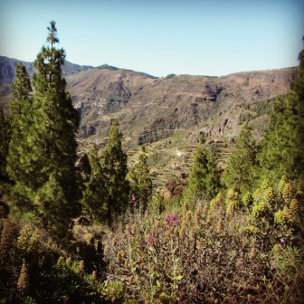 Parque Rural del Nublo, Gran Canaria