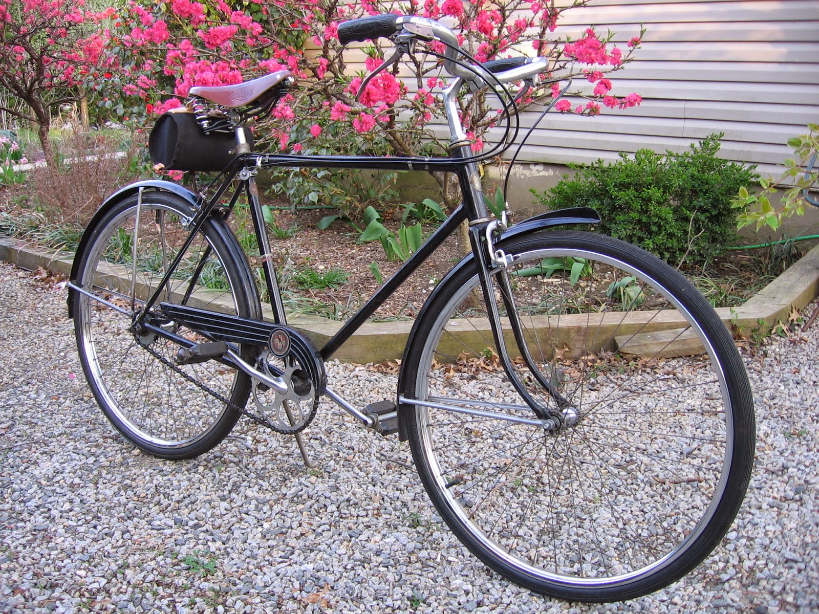 schwinn new world