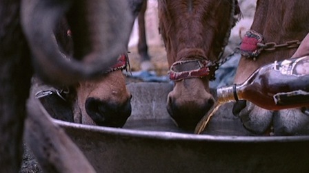 George Zimmerman allegedly threatened Jay-Z and Beyonc