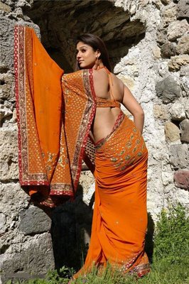 Nayanthara+hot+stills+in+saree