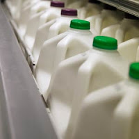 can you get whole milk on wic can you get whole milk on wic