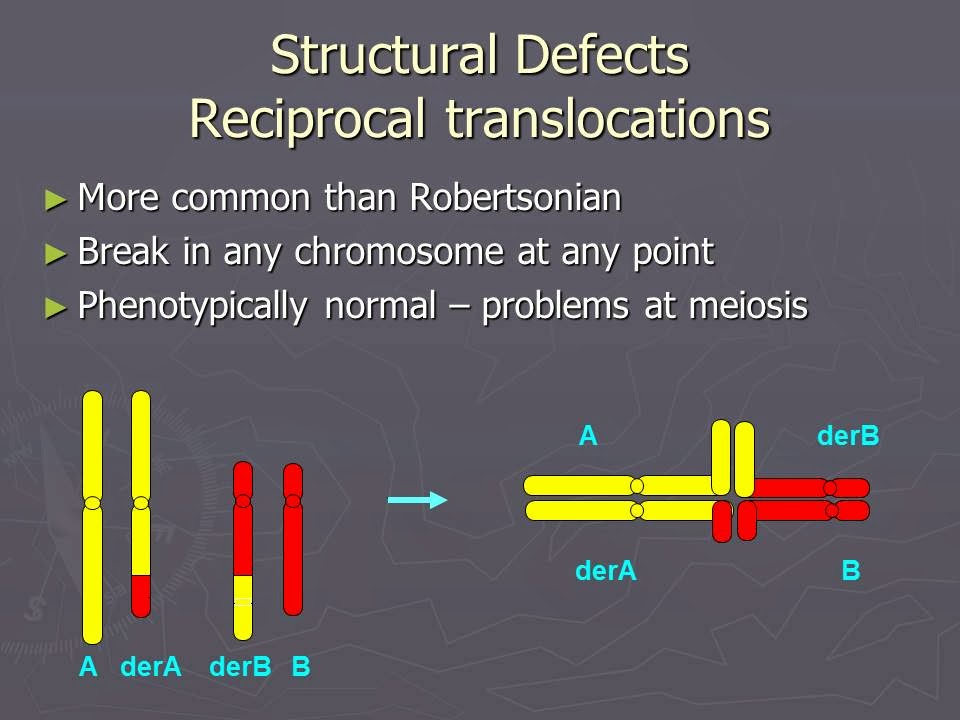 Slide 37