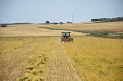 Pulse vegetables harvester. Old Lenz mower