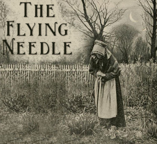 ~The Flying Needle~