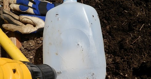 The Backyard Garden: Milk Jug Slow Drip Watering System