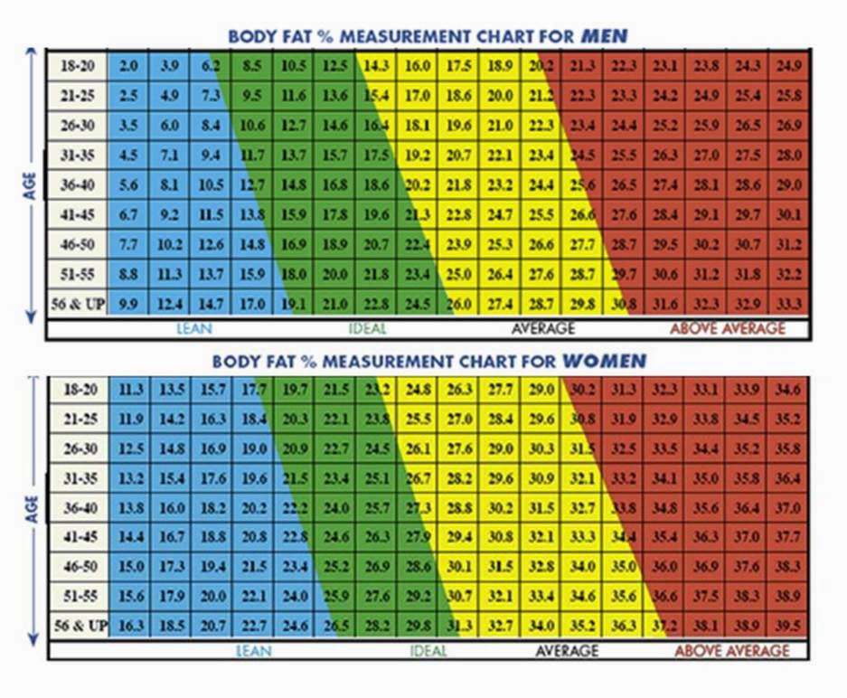 Body Fat Percentile Chart