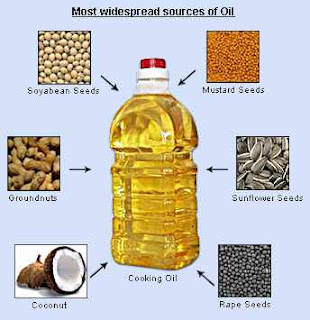 Vegetable Oil Extraction Business