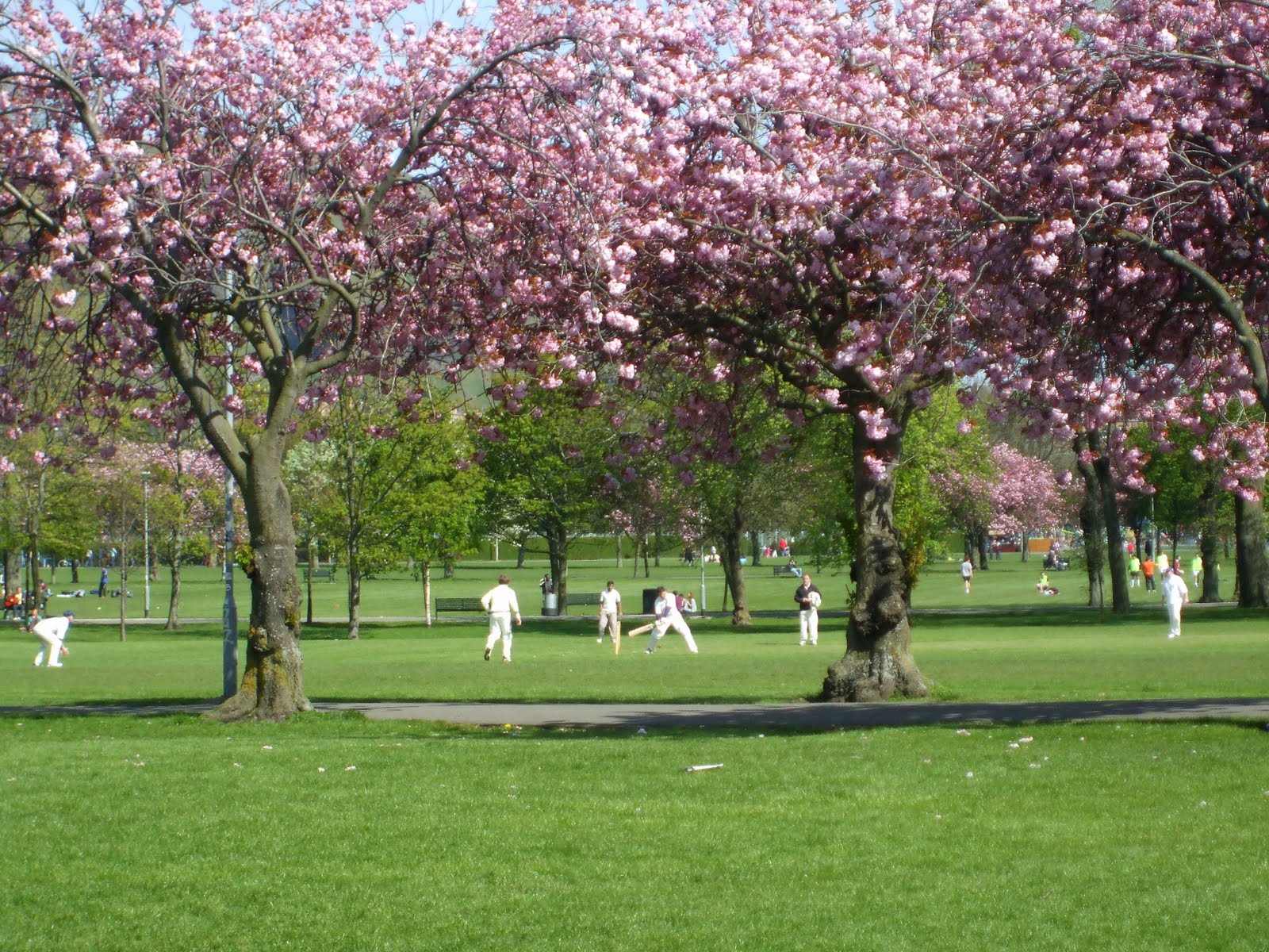 Edinburgh Meadows