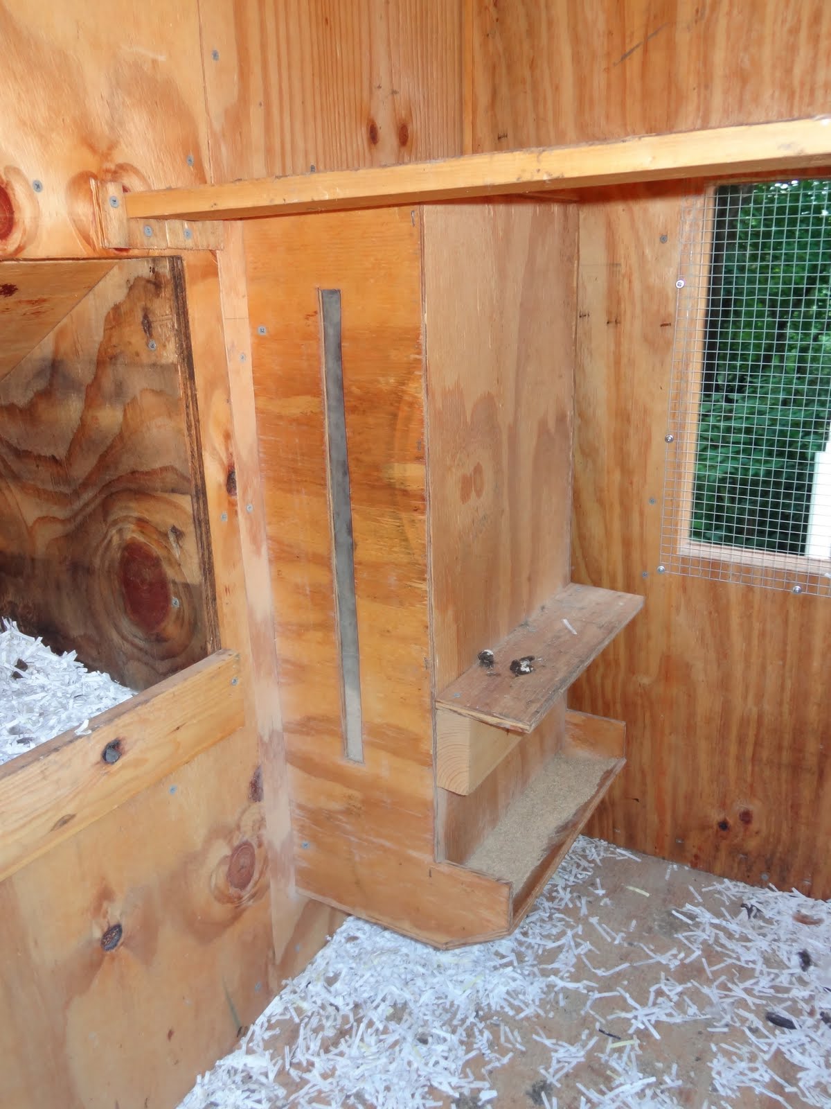 A life in the day of... Free Insulated Chicken Coop Plans