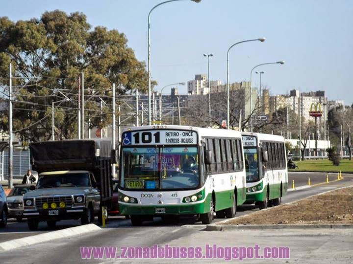 Colectibus Zona de Buses LINEA 101