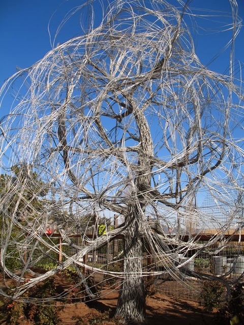 Beware Late Night Thinking Wine Country Adventures Sonoma And