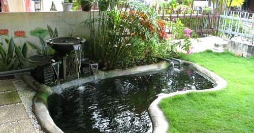 dream koi pond maintenance