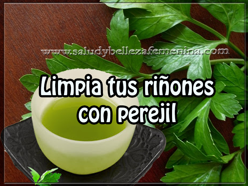 Limpia tus riñones con perejil Salud y bienestar , limpia tus riñones con perejil