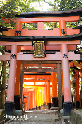 Shannon Hager Photography, Kyoto, Fushimi-Inari Shrine