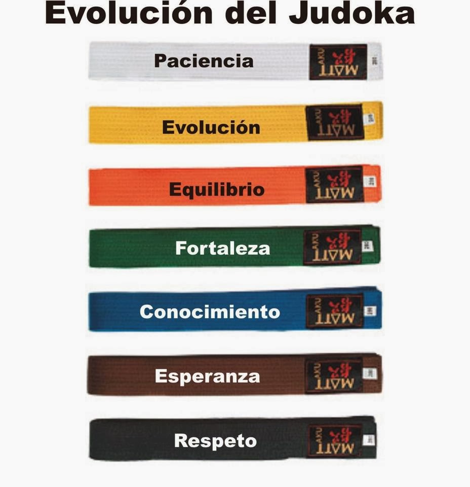 EVOLUCION DEL JUDOKA