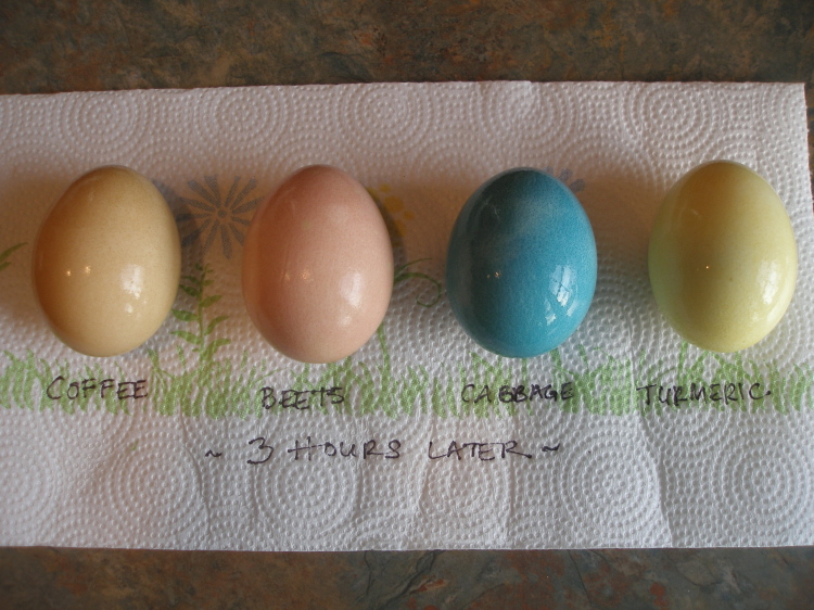 Thy Hand Hath Provided Naturally Dyed Easter Eggs