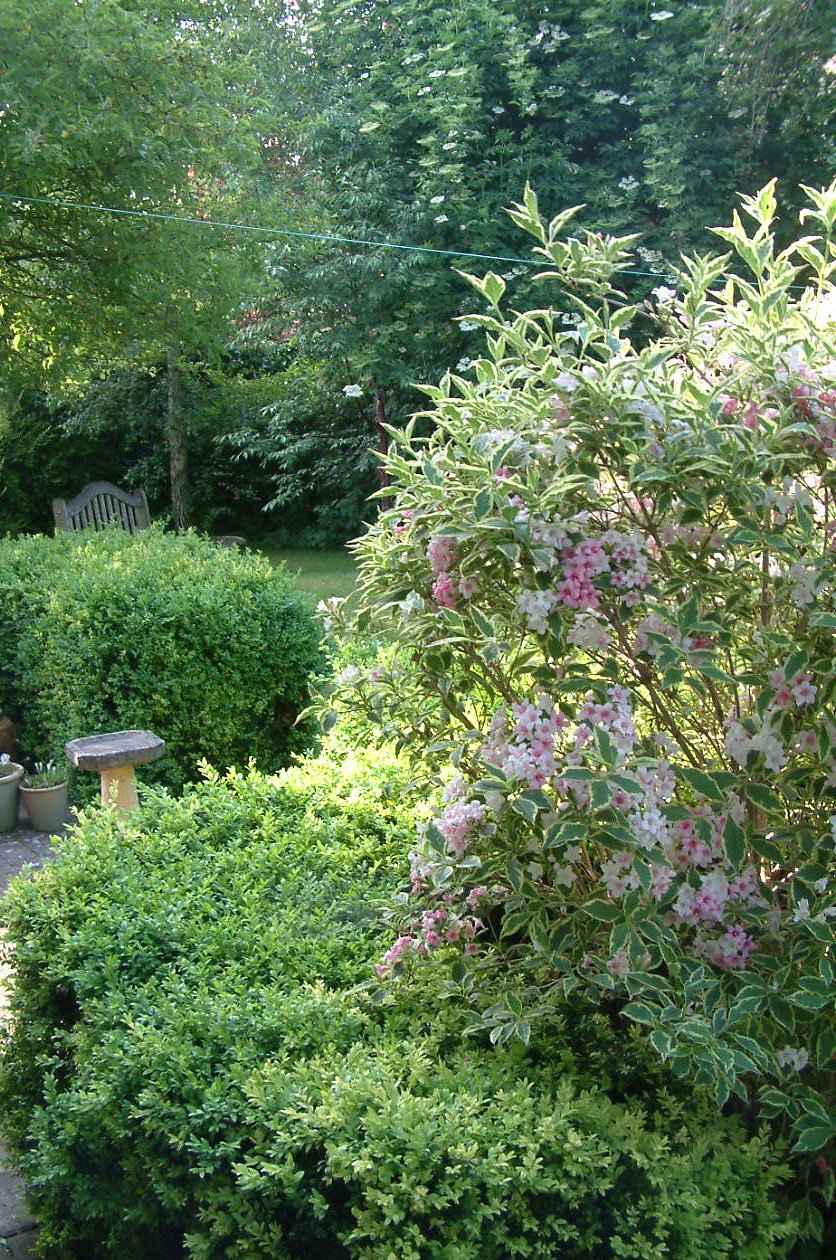 KT Miniatures Journal: Old Fashioned Gardens....Big & Not So Big!