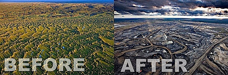 destruction of forests essay Laurance stated that tropical forests do the causes and effects of deforestation sociology essay what are the causes and effects of deforestation. destruction of forests essay Laurance stated that tropical forests do the causes and effects of deforestation sociology essay what are the causes and effects of deforestation.
