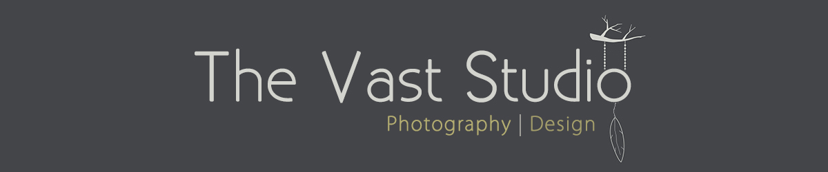 The Vast Studio