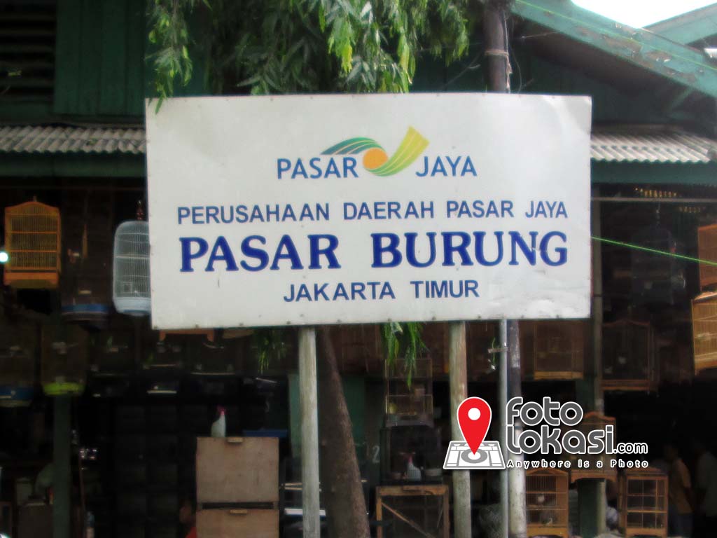 Kursus Masak Di Jakarta Timur