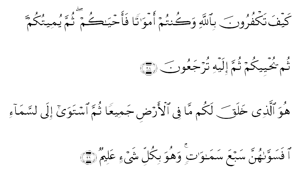 Tentang Surat Al Baqarah Ayat 28 Dan 29 ~ Coretan-Ku