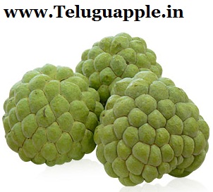 2019 year - 7 Health Benefits of Custard Apples 2019 year