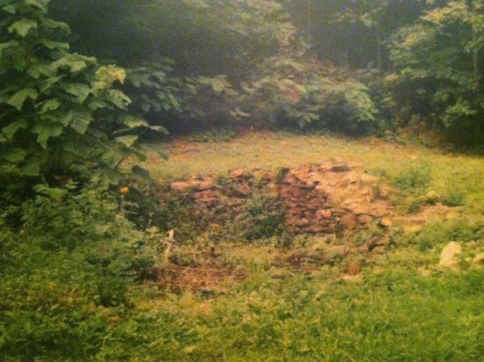 This Writing Life Christy The Quest for Cutter Gap