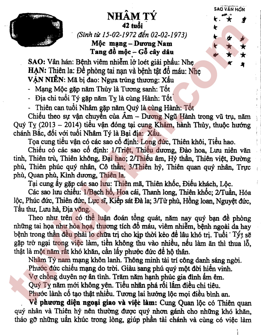 TỬ VI TUỔI NH ÂM TÝ 1972 NĂM 2013 (QUÝ TỴ)