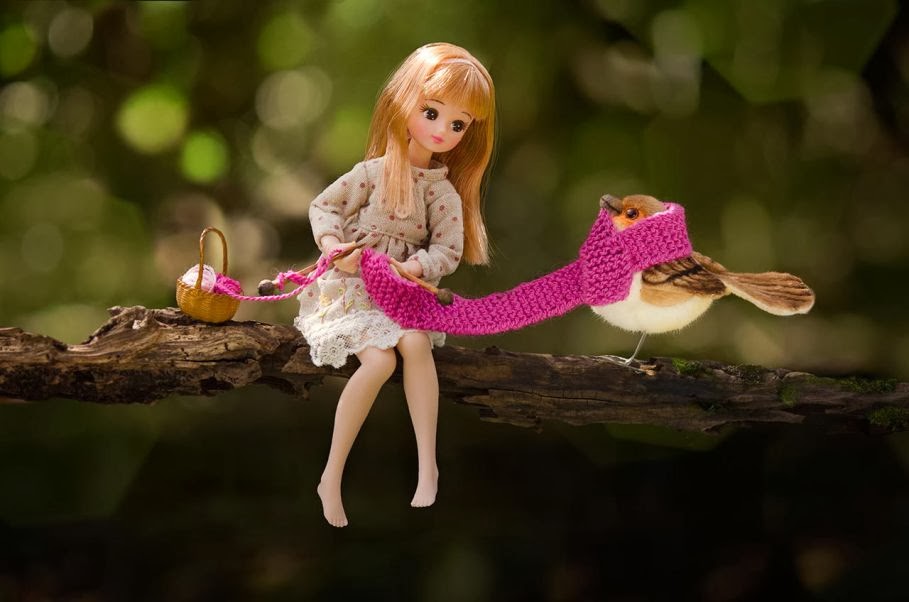 Awesome Photos of Adventurous Dolls